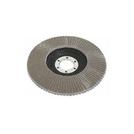 Garant Flap Disc for Fine Grinding, Dia: 125 mm, Grit: 180 566345 180